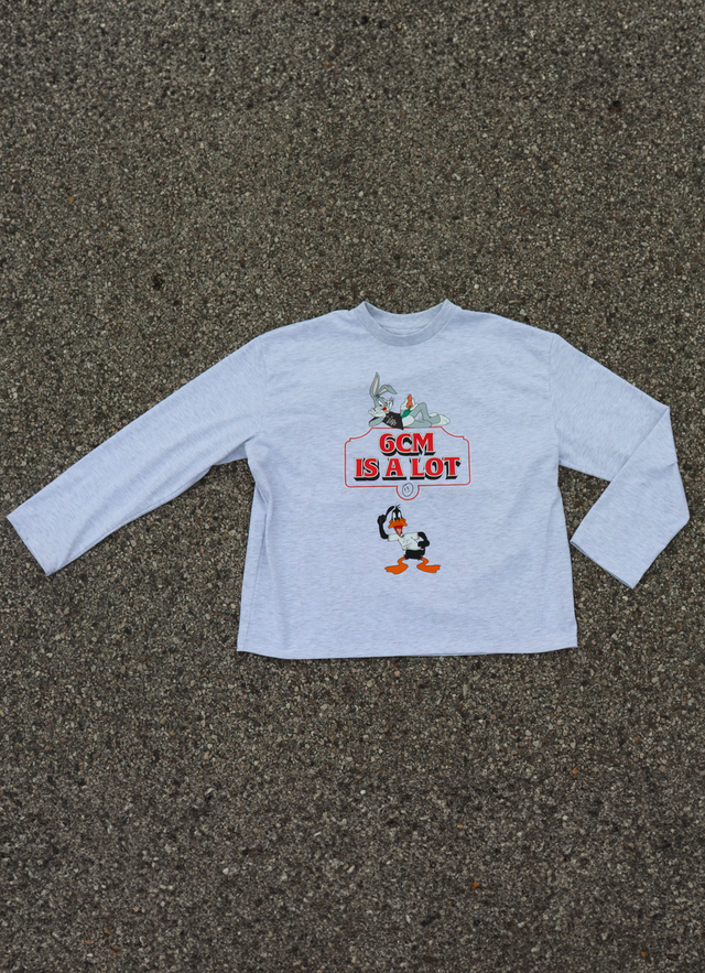 Cartoon Size Longsleeve