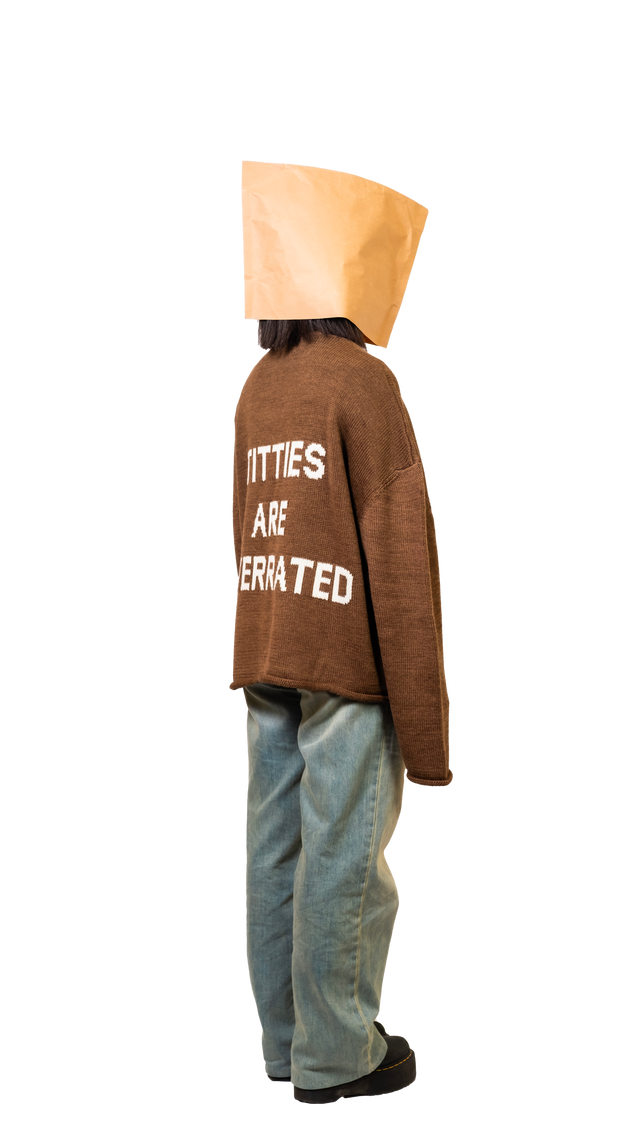 Titties Brown Crop Sweater - Pogostore.it