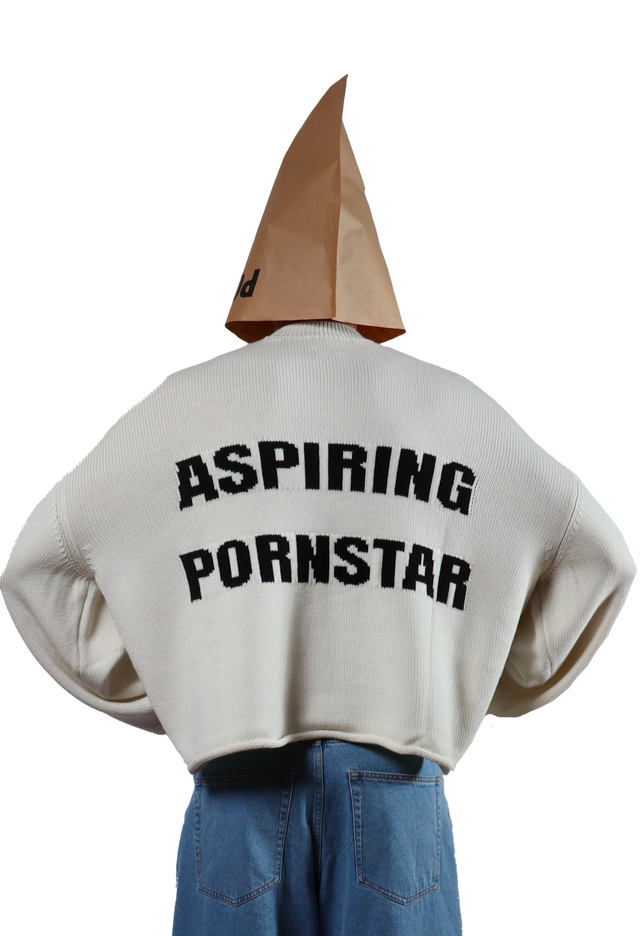 P*rnstar Crop Sweater