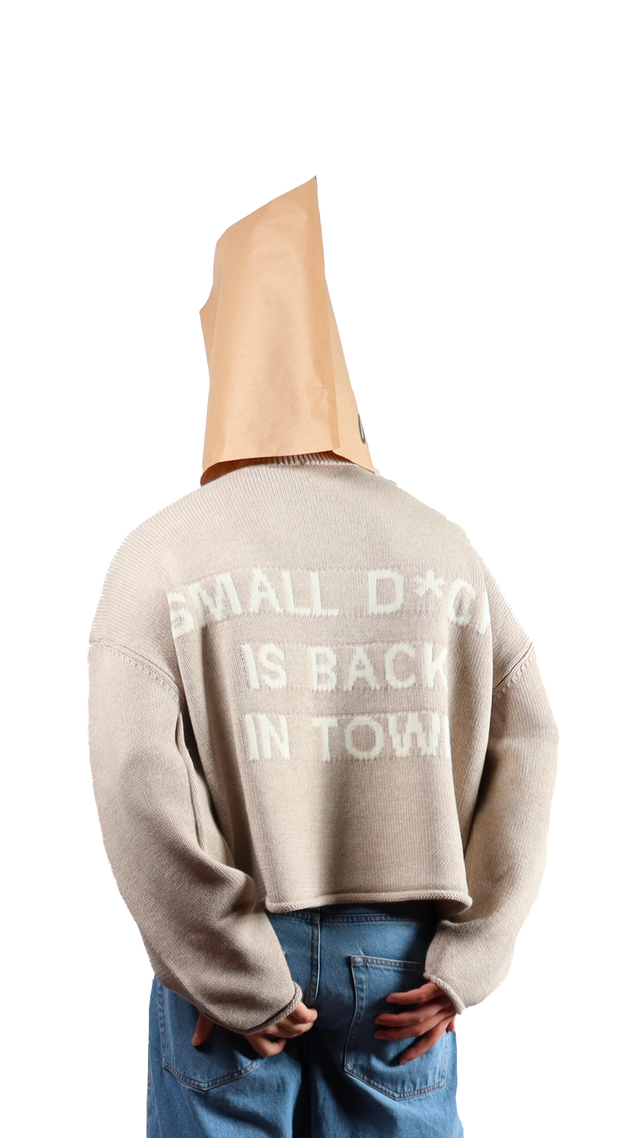 Back In Town Crop Sweater