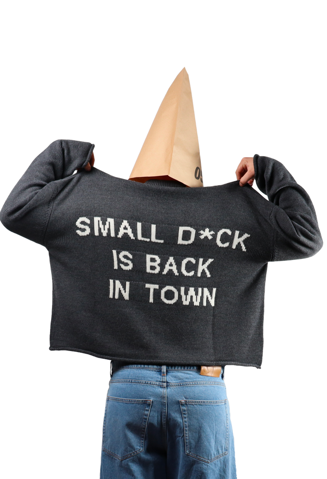 Back In Town Crop Sweater