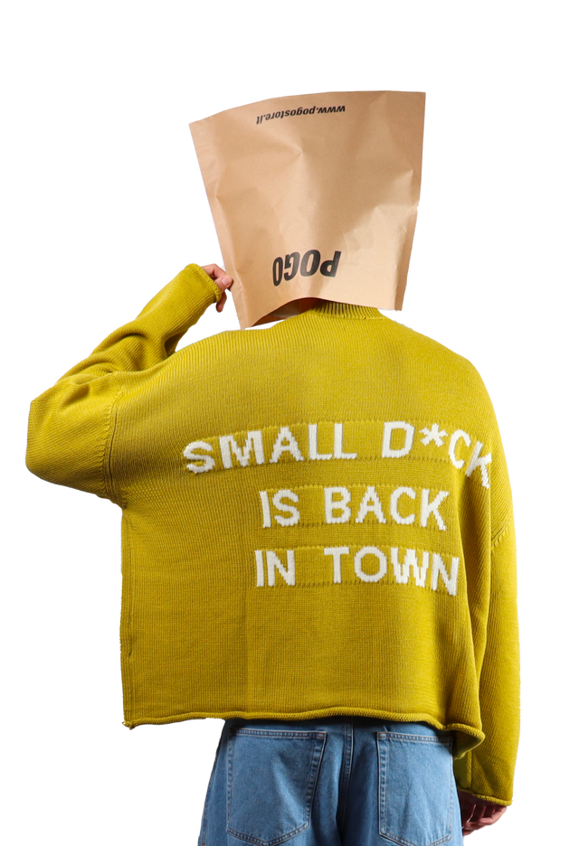 Back In Town Crop Sweater