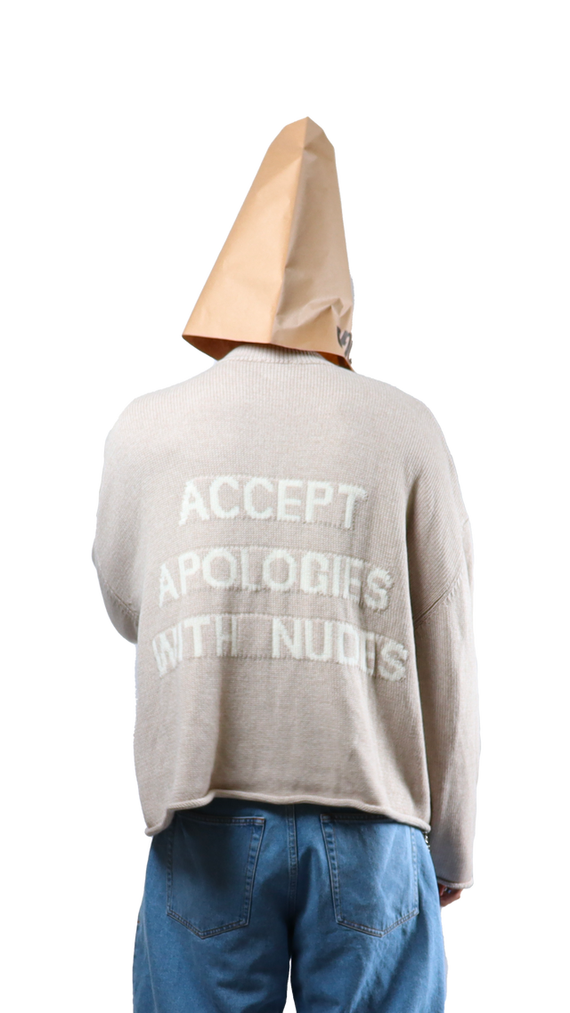 Apologies Beige Crop Sweater