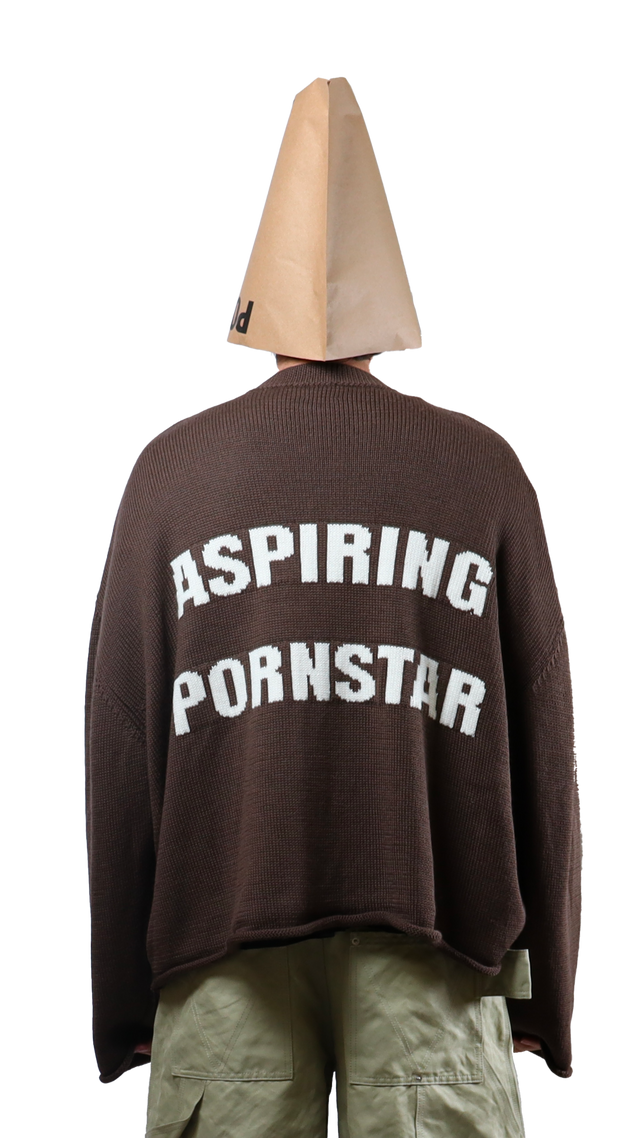 P*rnstar Brown Crop Sweater