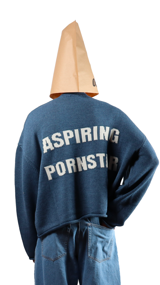 P*rnstar Crop Sweater