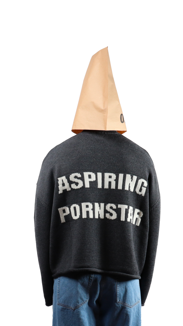 P*rnstar Crop Sweater