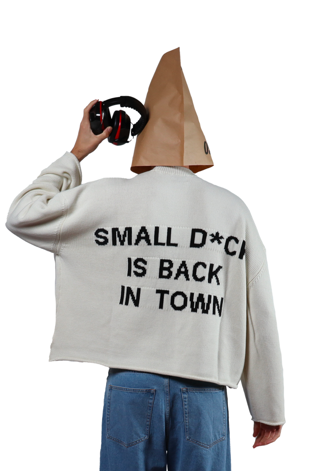 Back In Town Crop Sweater